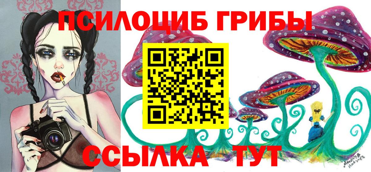 Волжский  Галлюциногенные грибы Cubensis  Вход с VPN  Псилоцибиновые грибы прущие грибы 